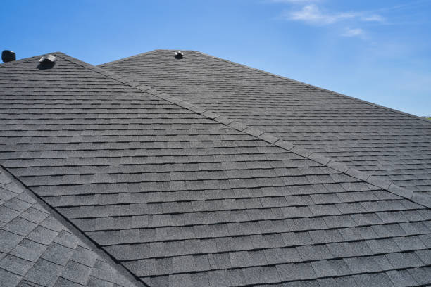 Best Skylight Installation and Repair  in Roma, TX