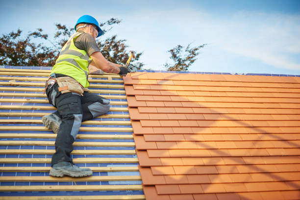 Best Commercial Roofing Services  in Roma, TX